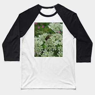 Hornet Mimic Hoverfly Baseball T-Shirt